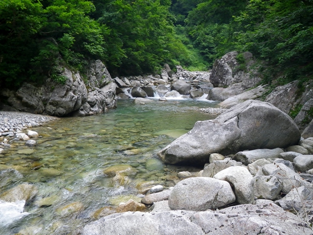 b0177355_1349447.jpg