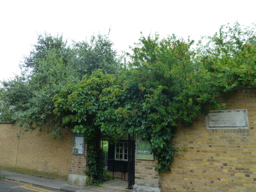 e0176457_20321844.jpg