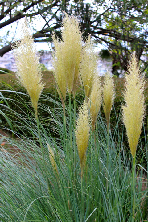 a0248459_185741100.jpg