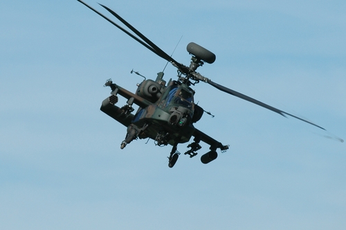 f0048860_523247.jpg