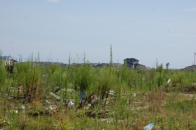 f0176860_137881.jpg