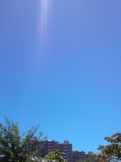 e0271461_7554163.jpg