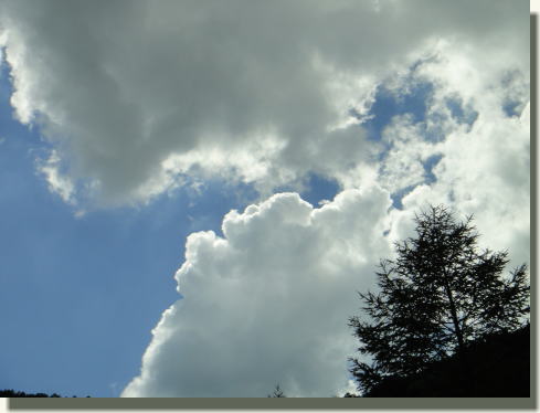f0224363_2047392.jpg