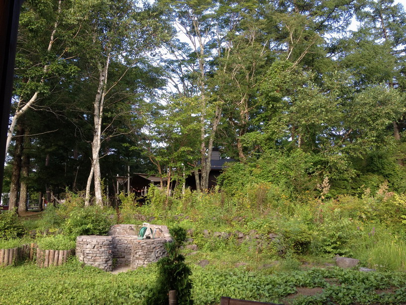 a0223066_1124894.jpg