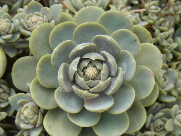 b0194267_23164738.jpg