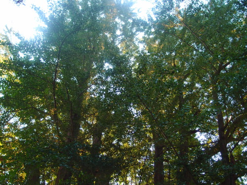 c0122670_23165180.jpg