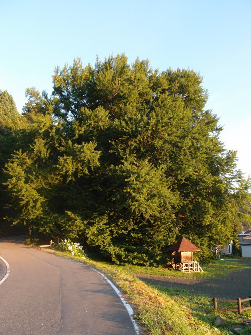 c0122670_231743100.jpg