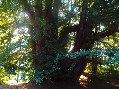 c0122670_2317464.jpg