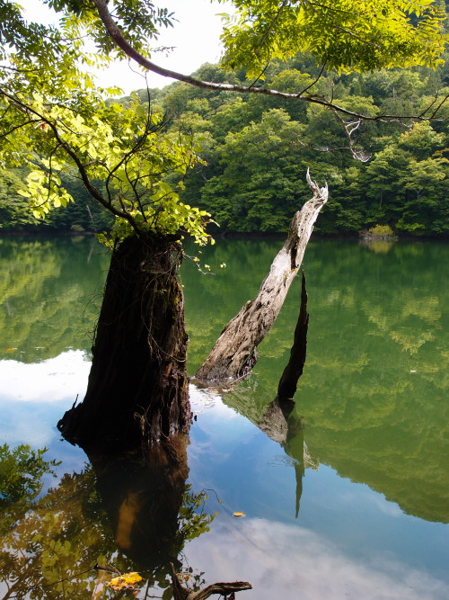 c0122670_23234528.jpg