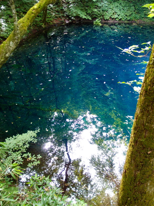 c0122670_23271340.jpg