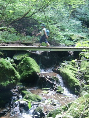 e0263072_2274416.jpg