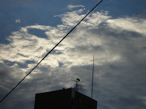 a0209173_6291553.jpg