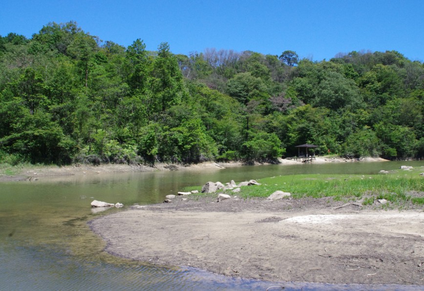 c0144185_15392562.jpg