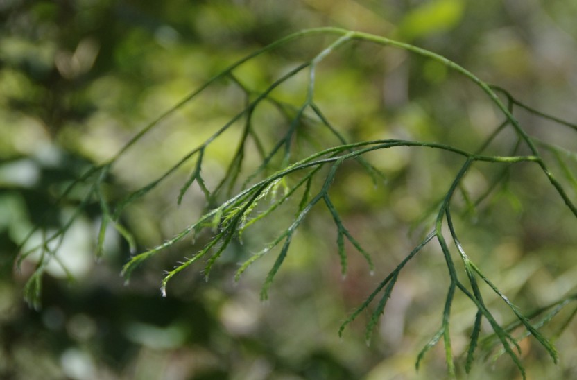 c0144185_2229918.jpg