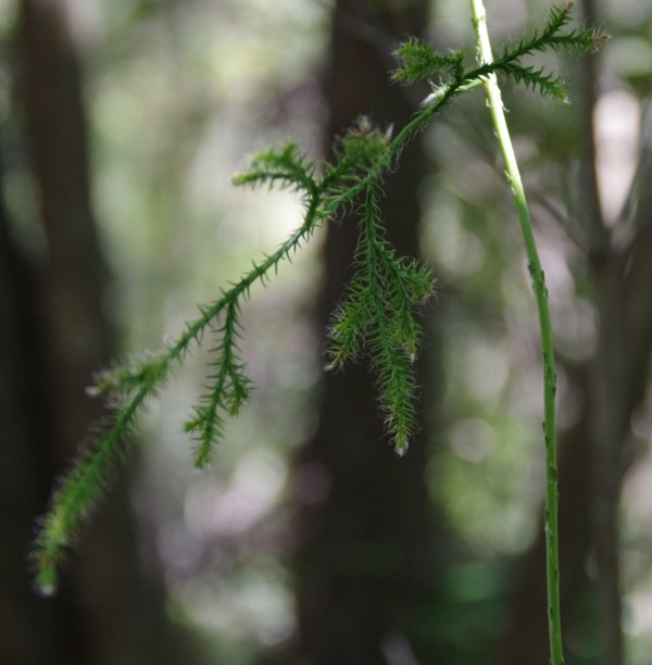 c0144185_22324673.jpg