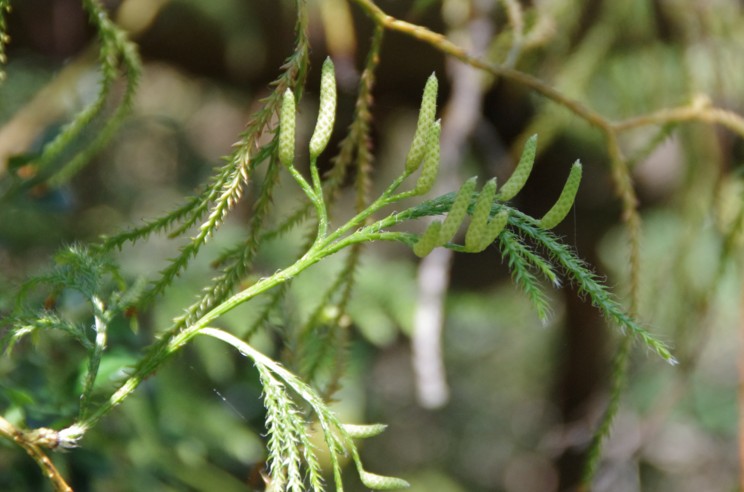 c0144185_22363526.jpg