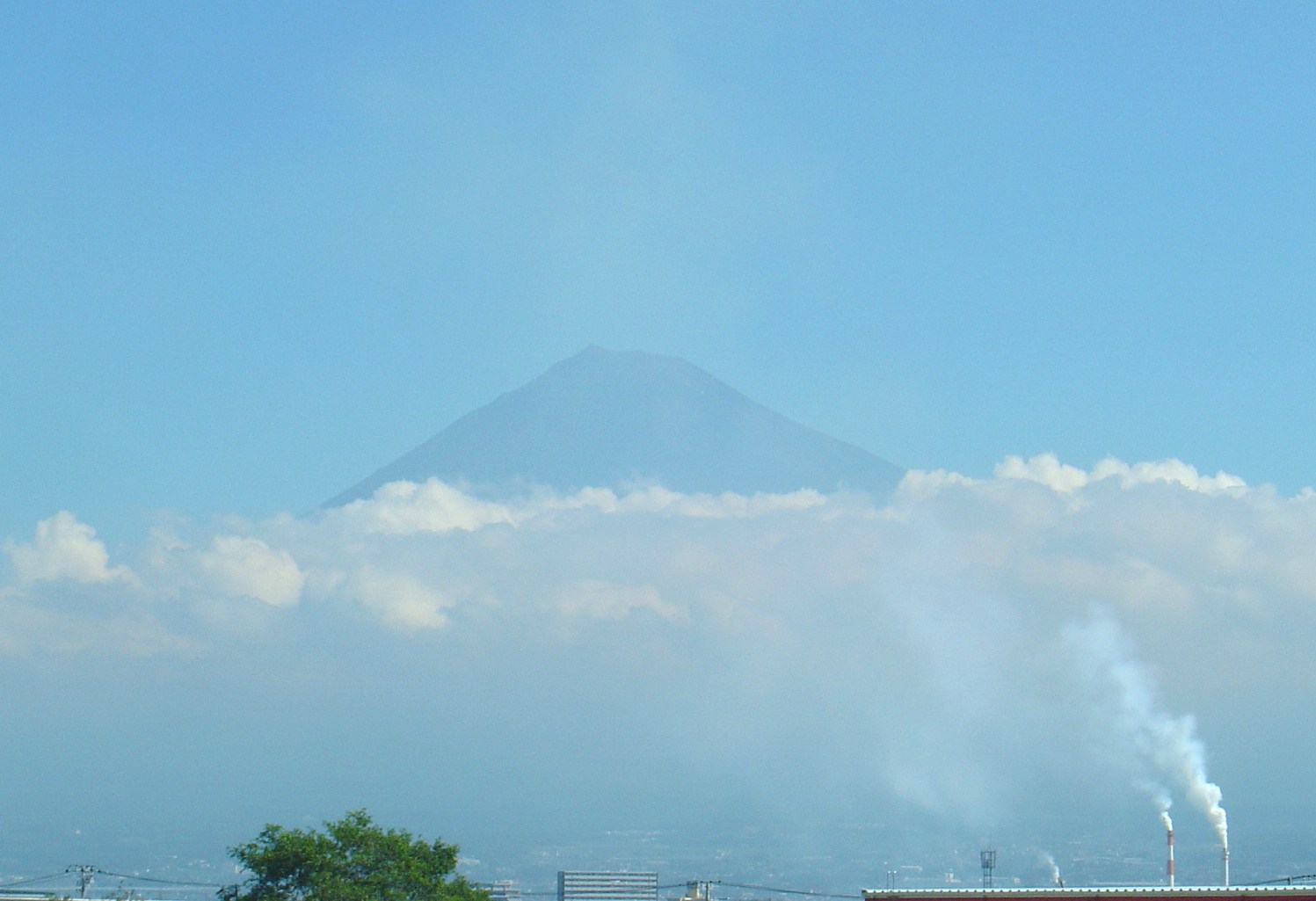 d0212491_19312917.jpg