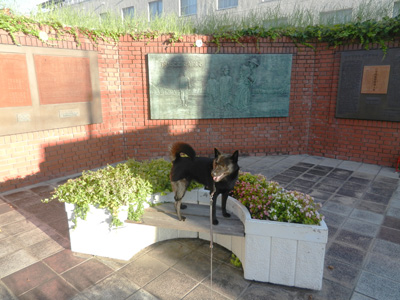 e0204795_16194068.jpg