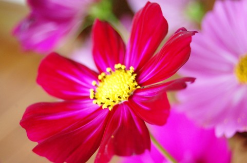 f0201297_11163067.jpg