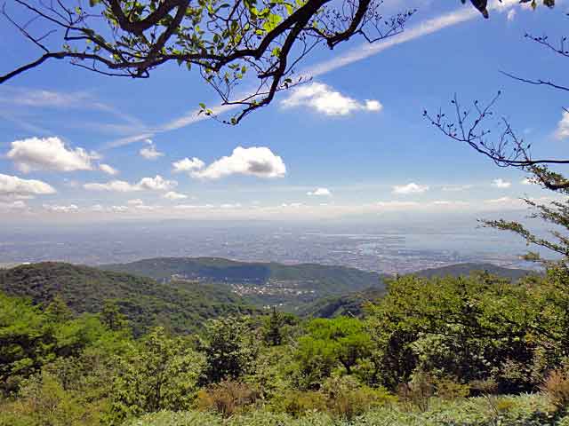 b0108100_17283477.jpg