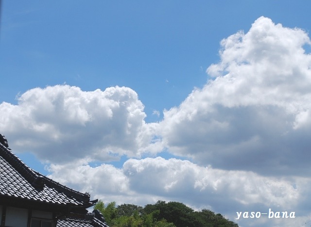 e0025300_15324750.jpg