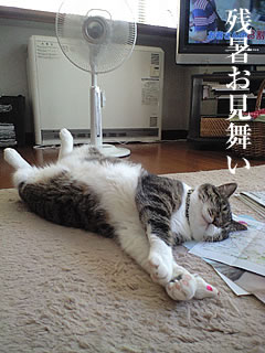 c0035001_15351423.jpg