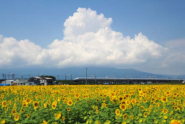 a0044202_1011559.jpg