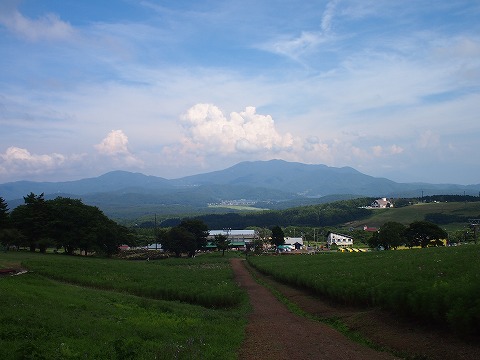 c0117007_2218777.jpg