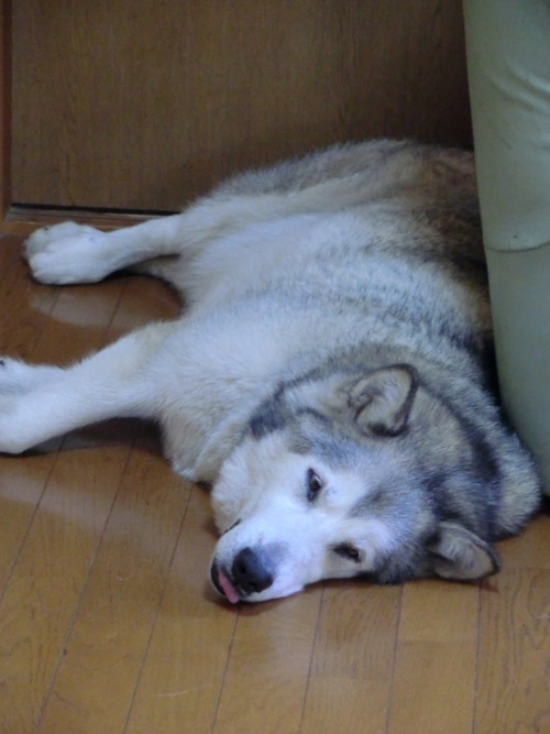 e0247410_22133131.jpg