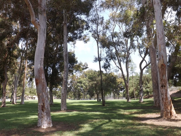 a0144811_81085.jpg