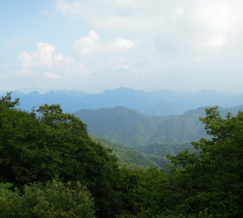 e0136511_13273221.jpg