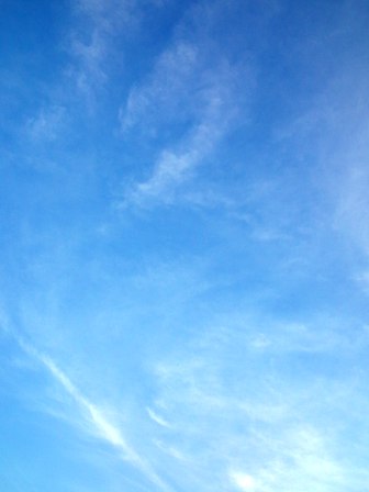 e0117613_845269.jpg