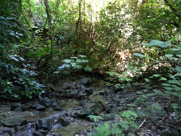 e0002314_21435191.jpg