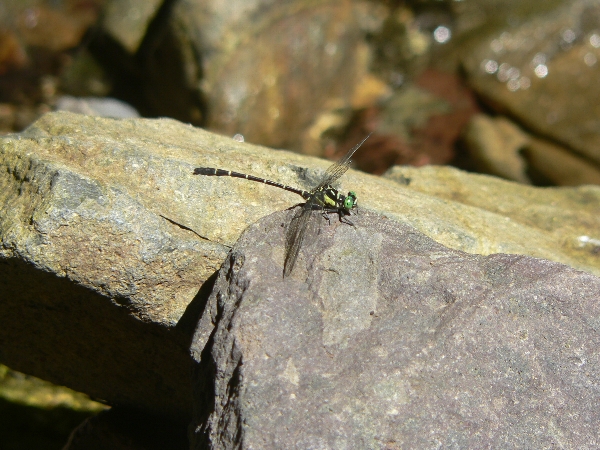 e0002314_21444593.jpg