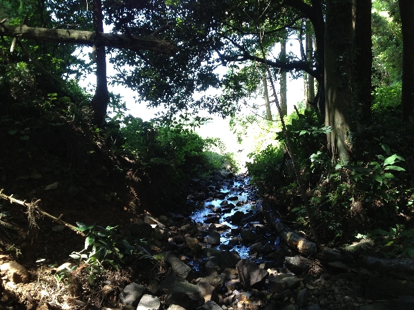 e0002314_21503544.jpg