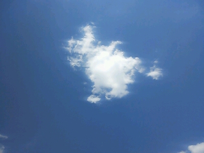 a0275715_1154138.jpg