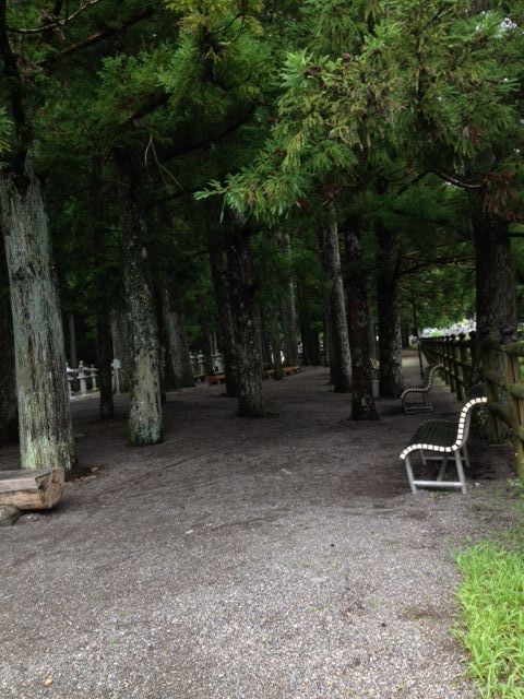 e0023419_1125309.jpg
