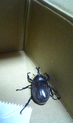 c0117621_0298.jpg