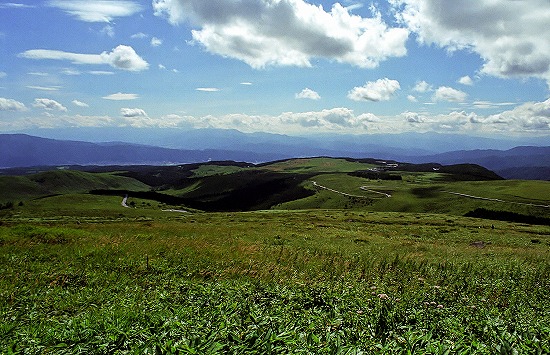 d0001533_2157121.jpg