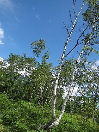 d0001533_2353204.jpg