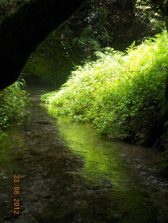 c0144038_1514595.jpg