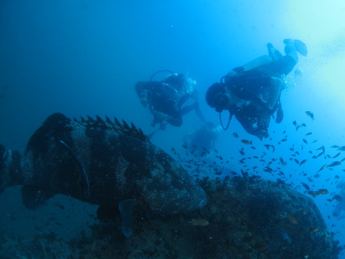 e0027447_2084343.jpg