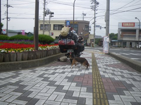 f0046250_2222056.jpg