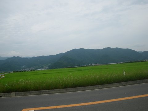f0046250_224750100.jpg