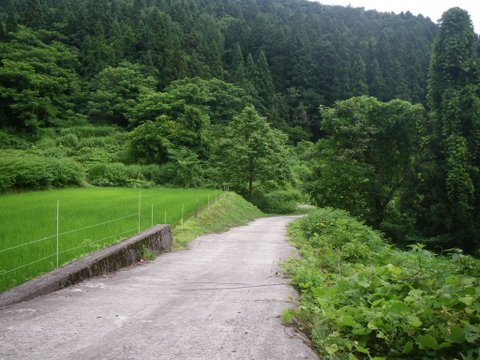 f0046250_22495243.jpg