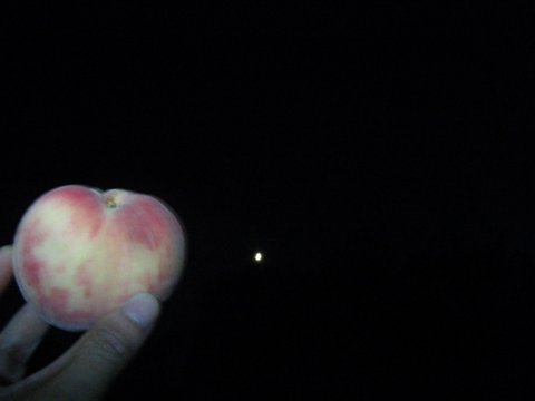 f0046250_233171.jpg