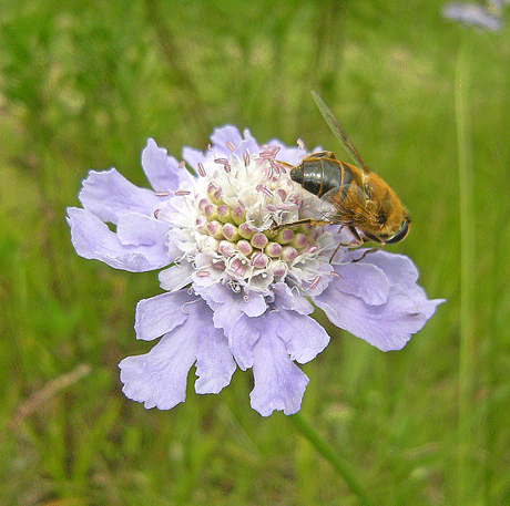 a0001354_2218827.gif