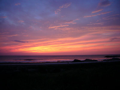 f0105054_2311283.jpg