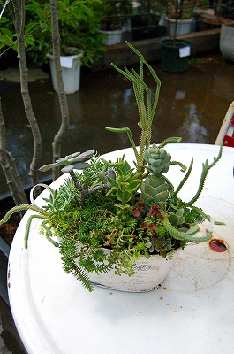 e0025655_613890.jpg