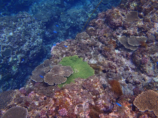 b0018957_0385945.jpg